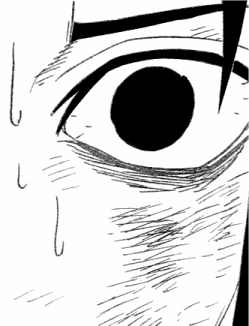 na362_teaser.png