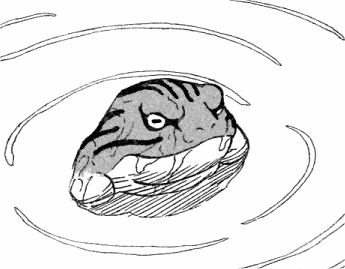 na368_teaser.png