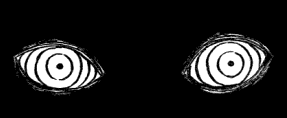 na378_teaser.png