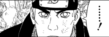 na435_teaser.png